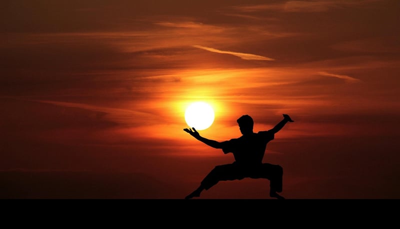 Tai Chi Pose Image